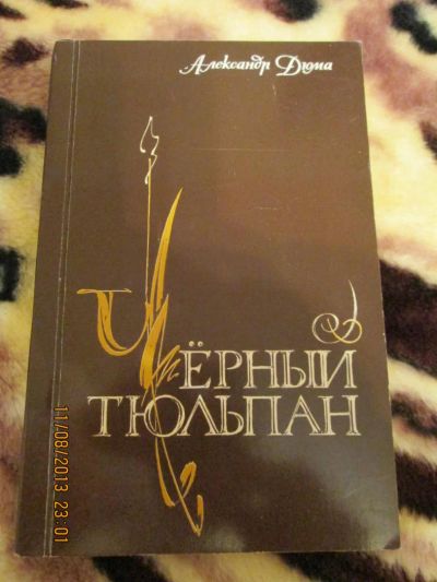 Лот: 5102848. Фото: 1. Александр Дюма Черный тюльпан. Художественная