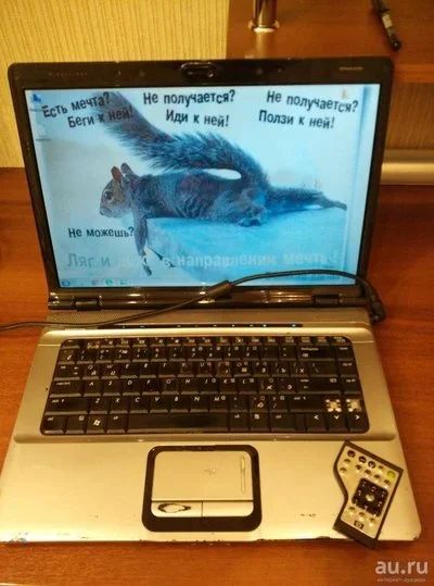 Лот: 8236614. Фото: 1. Ноутбук HP Pavilion DV6000 (модель... Ноутбуки