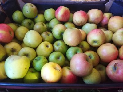 Лот: 15253724. Фото: 1. Лот №4, яблоки некондиция. Овощи, фрукты, зелень