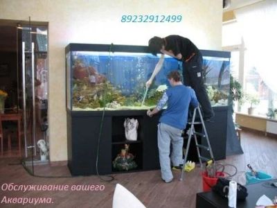 Лот: 2088183. Фото: 1. Профессиональное Обслуживание... Аквариумы, террариумы