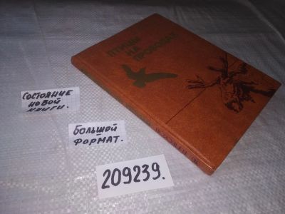 Лот: 21441735. Фото: 1. (209239)Песков В. Птицы на проводах... Художественная