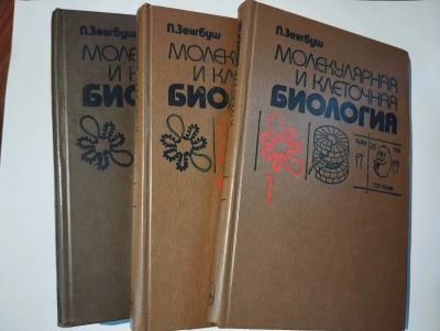 Лот: 25361094. Фото: 1. Петер Зенгбуш. Молекулярная и... Другое (литература, книги)