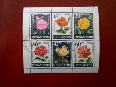 Лот: 11435918. Фото: 1. 1985. Болгария. Цветы. мл. Отличное. Марки