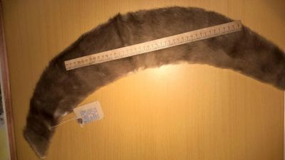 Лот: 7438502. Фото: 1. Шкурки норки. Другое (одежда, обувь, галантерея)