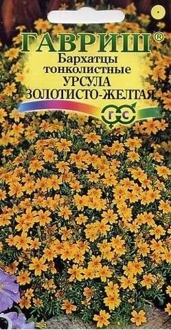 Лот: 11024193. Фото: 1. Бархатцы тонколист. Урсула золотисто-желтая... Садовые цветы