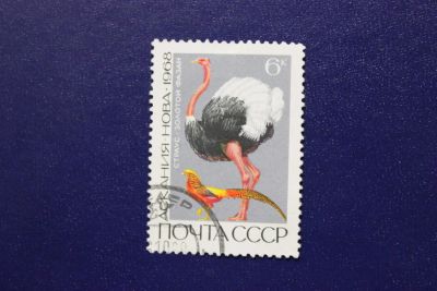 Лот: 7367314. Фото: 1. Почтовая марка №4888 в коллекцию. Марки
