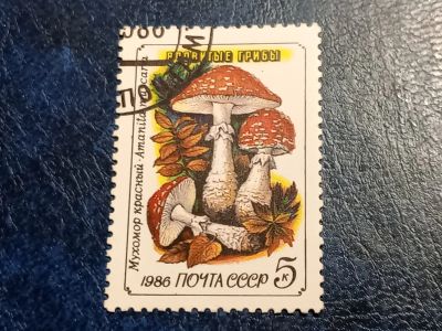 Лот: 25590159. Фото: 1. - Марки для Вашей коллекции. лот... Марки