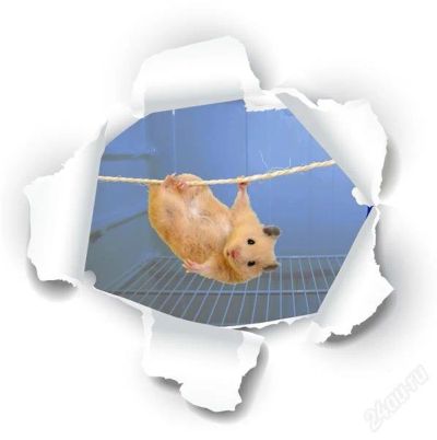 Лот: 2450752. Фото: 1. супер-магниты любых размеров на... Сувенирные мелочи
