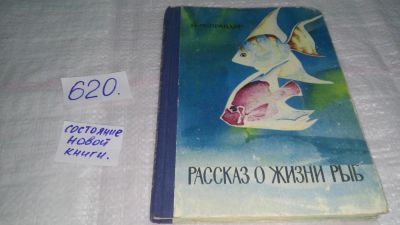 Лот: 10779605. Фото: 1. Иван Правдин, Рассказ о жизни... Познавательная литература