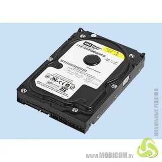 Лот: 3573147. Фото: 1. Western Digital WD400 40g. Жёсткие диски (HDD)