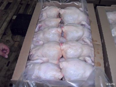 Лот: 9084642. Фото: 1. Цыплята-бройлеры, тушки. Мясо, птица, яйцо