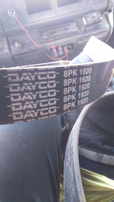 Лот: 11302844. Фото: 1. Приводной ремень Dayco 8рк 1920. Расходные материалы