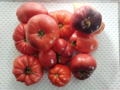 Лот: 23530080. Фото: 1. Помидоры Домашние ( Минусинские... Овощи, фрукты, зелень