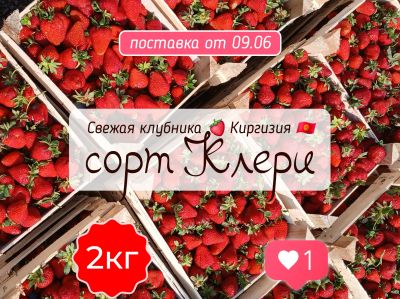 Лот: 25376438. Фото: 1. Клубника 🍓 2кг с 1₽! Сорт Клери... Ягоды, орехи