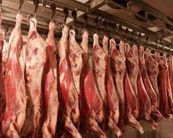 Лот: 4460944. Фото: 1. Продам канал по поставке филе... Другое (готовый бизнес)
