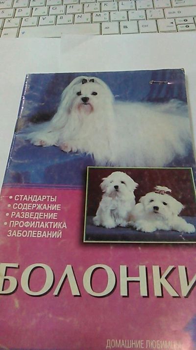 Лот: 9983852. Фото: 1. Книга. Болонки. Н. Ланко, Е. Цыганкова... Домашние животные