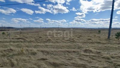 Лот: 25374474. Фото: 1. участок , СПК Солонцы СПК Солонцы... Земельные участки