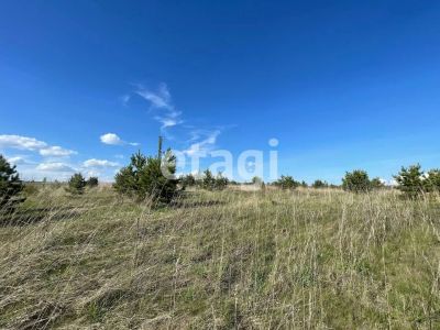 Лот: 25297279. Фото: 1. участок , садовые участки Штаны... Земельные участки