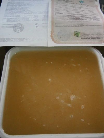 Лот: 9365959. Фото: 1. Амурский мед ОПТОМ с пасеки в... Мёд, продукты пчеловодства