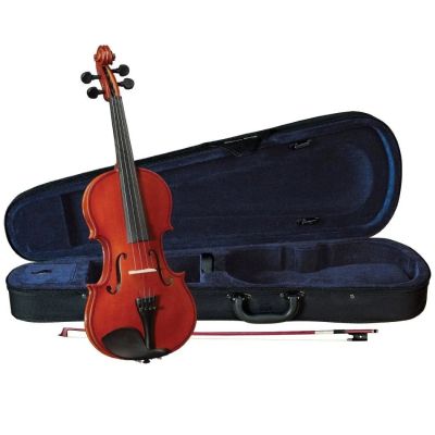 Лот: 10974618. Фото: 1. Cervini HV-100 Novice Violin Outfit... Другие струнные