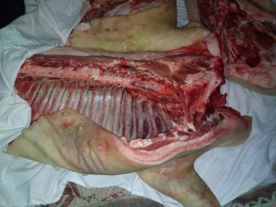 Лот: 8751370. Фото: 1. Свежая фермерская свинина, личное... Мясо, птица, яйцо