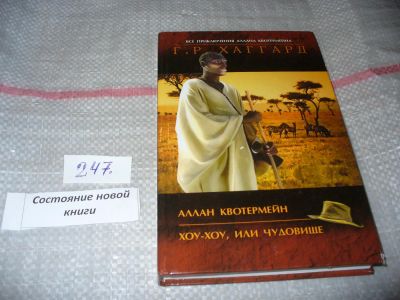 Лот: 7393247. Фото: 1. Серия "Все приключения Аллана... Художественная