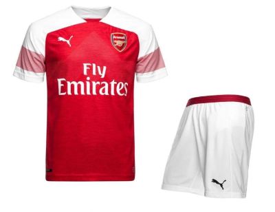 Лот: 16032037. Фото: 1. Футбольная форма Puma FC Arsenal... Форма
