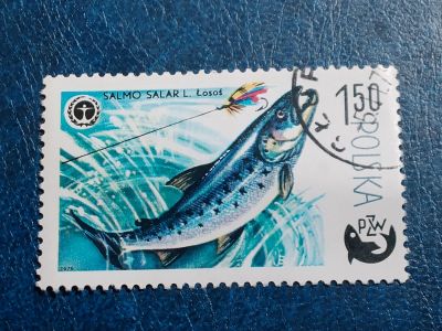 Лот: 25510413. Фото: 1. - Марки для Вашей коллекции. лот... Марки