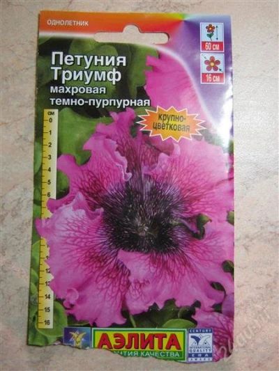 Лот: 2752163. Фото: 1. Петуния Триумф темно-пурпурная... Другое (семена, рассада, садовые растения)