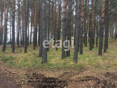 Лот: 25297373. Фото: 1. участок , посёлок Минино посёлок... Земельные участки