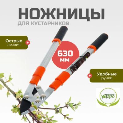 Лот: 24084265. Фото: 1. Ножницы садовые для кустарников... Ручные орудия труда