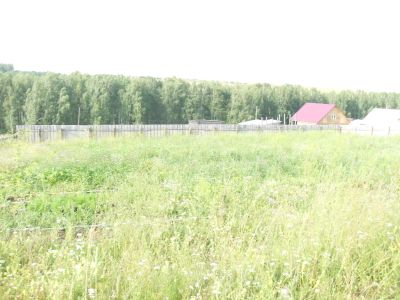 Лот: 8839324. Фото: 1. земельный участок. Земельные участки