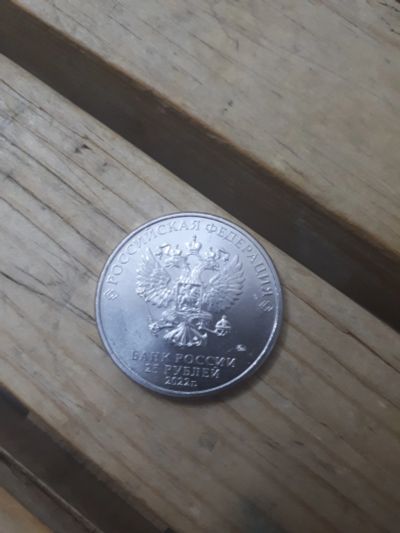 Лот: 19244192. Фото: 1. Монеты 25 рублей 2022 года , Иван... Россия после 1991 года