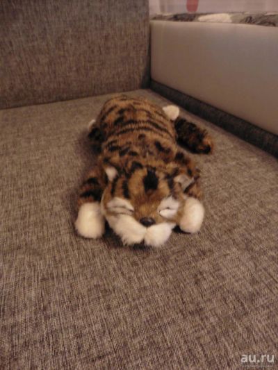 Лот: 9610829. Фото: 1. Котик отдыхает. Мягкие