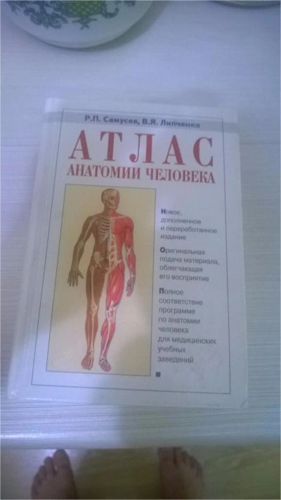 Лот: 6934427. Фото: 1. Атлас анатомии человека. Популярная и народная медицина
