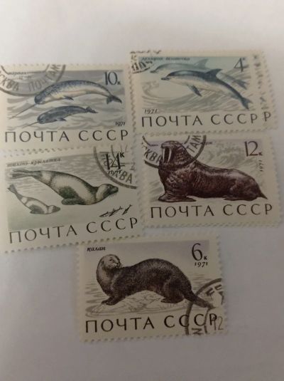 Лот: 19705521. Фото: 1. Марки СССР. 1971 г. Фауна. Обитатели... Марки