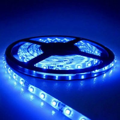 Лот: 23270844. Фото: 1. Лента 2835 60LED/m Blue 12V IP33. Светодиодная подсветка