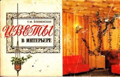 Лот: 23445210. Фото: 1. Цветы в интерьере. Сад, огород, цветы