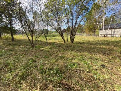 Лот: 23538890. Фото: 1. Ровный участок на Мане (срочно... Земельные участки