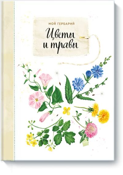 Лот: 24461932. Фото: 1. Мой гербарий. Цветы и травы. Художественная для детей