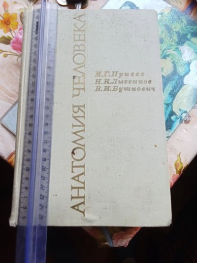 Лот: 20557988. Фото: 1. Анатомия человека. Популярная и народная медицина