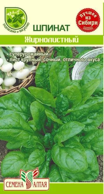 Лот: 10985811. Фото: 1. Cемена шпината "Жирнолистный". Пряные и лекарственные травы
