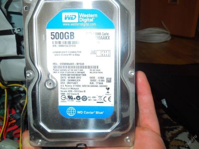 Лот: 5739269. Фото: 1. Western Digital 500GB. Жёсткие диски (HDD)