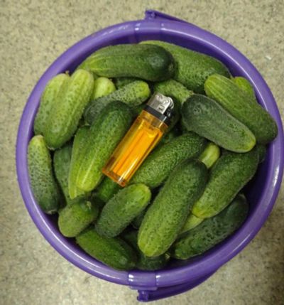 Лот: 11886302. Фото: 1. Огурцы небольшие, вкусные, выращенные... Овощи, фрукты, зелень