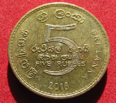 Лот: 18850256. Фото: 1. Шри-Ланка 5 рупий, 2013 г. Остальные страны