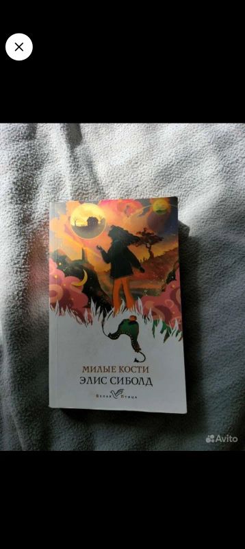 Лот: 21135812. Фото: 1. Книга милые кости. Художественная