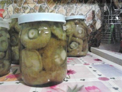 Лот: 2345080. Фото: 1. Грузди малышки эксклюзив. Грибы