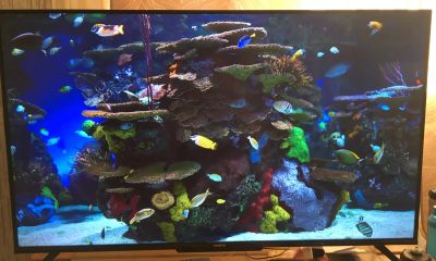 Лот: 19681308. Фото: 1. Телевизор 4к UHD HDR Realme tv... Телевизоры