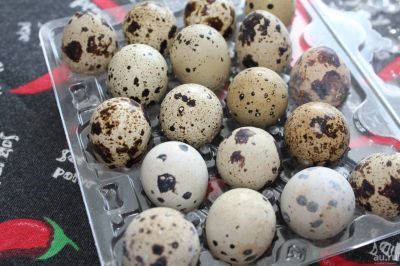 Лот: 16656107. Фото: 1. ЭКО Яйцо диетическое белого техасского... Мясо, птица, яйцо