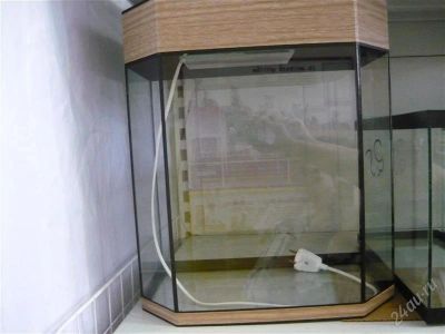 Лот: 2799891. Фото: 1. аквариум панарама крышка+подсветка... Аквариумы, террариумы